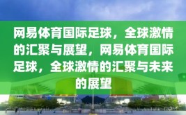 网易体育国际足球，全球激情的汇聚与展望，网易体育国际足球，全球激情的汇聚与未来的展望