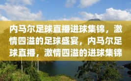 内马尔足球直播进球集锦，激情四溢的足球盛宴，内马尔足球直播，激情四溢的进球集锦