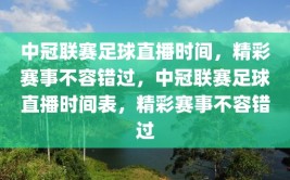 中冠联赛足球直播时间，精彩赛事不容错过，中冠联赛足球直播时间表，精彩赛事不容错过