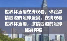 世界杯直播在线观看，体验激情四溢的足球盛宴，在线观看世界杯直播，激情四溢的足球盛宴体验