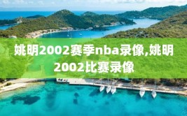 姚明2002赛季nba录像,姚明2002比赛录像