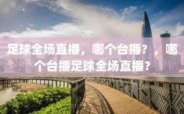 足球全场直播，哪个台播？，哪个台播足球全场直播？