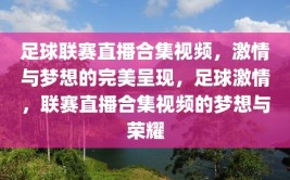 足球联赛直播合集视频，激情与梦想的完美呈现，足球激情，联赛直播合集视频的梦想与荣耀