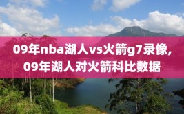 09年nba湖人vs火箭g7录像,09年湖人对火箭科比数据