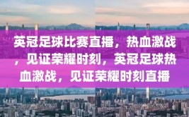 英冠足球比赛直播，热血激战，见证荣耀时刻，英冠足球热血激战，见证荣耀时刻直播