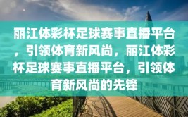 丽江体彩杯足球赛事直播平台，引领体育新风尚，丽江体彩杯足球赛事直播平台，引领体育新风尚的先锋