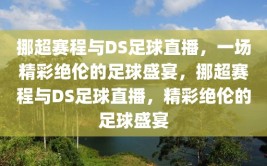 挪超赛程与DS足球直播，一场精彩绝伦的足球盛宴，挪超赛程与DS足球直播，精彩绝伦的足球盛宴