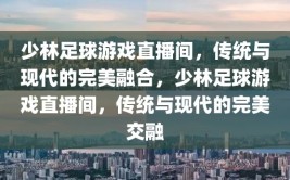 少林足球游戏直播间，传统与现代的完美融合，少林足球游戏直播间，传统与现代的完美交融