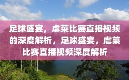 足球盛宴，虐菜比赛直播视频的深度解析，足球盛宴，虐菜比赛直播视频深度解析