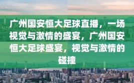 广州国安恒大足球直播，一场视觉与激情的盛宴，广州国安恒大足球盛宴，视觉与激情的碰撞