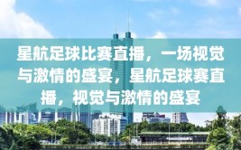 星航足球比赛直播，一场视觉与激情的盛宴，星航足球赛直播，视觉与激情的盛宴