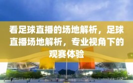 看足球直播的场地解析，足球直播场地解析，专业视角下的观赛体验