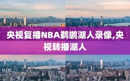 央视复播NBA鹈鹕湖人录像,央视转播湖人