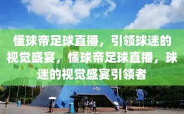 懂球帝足球直播，引领球迷的视觉盛宴，懂球帝足球直播，球迷的视觉盛宴引领者