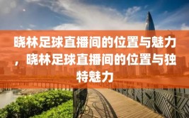 晓林足球直播间的位置与魅力，晓林足球直播间的位置与独特魅力