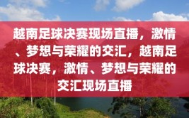 越南足球决赛现场直播，激情、梦想与荣耀的交汇，越南足球决赛，激情、梦想与荣耀的交汇现场直播