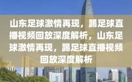 山东足球激情再现，踢足球直播视频回放深度解析，山东足球激情再现，踢足球直播视频回放深度解析