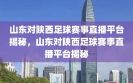 山东对陕西足球赛事直播平台揭秘，山东对陕西足球赛事直播平台揭秘