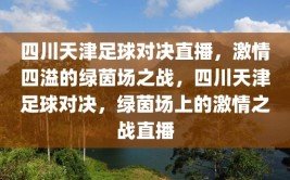 四川天津足球对决直播，激情四溢的绿茵场之战，四川天津足球对决，绿茵场上的激情之战直播