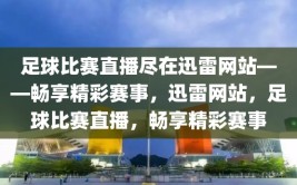 足球比赛直播尽在迅雷网站——畅享精彩赛事，迅雷网站，足球比赛直播，畅享精彩赛事