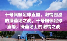 十号佩佩足球直播，激情四溢的绿茵场之战，十号佩佩足球直播，绿茵场上的激情之战