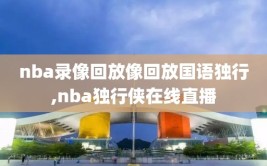 nba录像回放像回放国语独行,nba独行侠在线直播