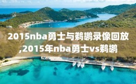 2015nba勇士与鹈鹕录像回放,2015年nba勇士vs鹈鹕