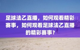 足球法乙直播，如何观看精彩赛事，如何观看足球法乙直播的精彩赛事？