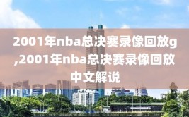 2001年nba总决赛录像回放g,2001年nba总决赛录像回放中文解说