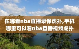 在哪看nba直播录像虎扑,手机哪里可以看nba直播视频虎扑