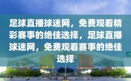 足球直播球迷网，免费观看精彩赛事的绝佳选择，足球直播球迷网，免费观看赛事的绝佳选择