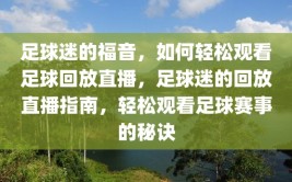 足球迷的福音，如何轻松观看足球回放直播，足球迷的回放直播指南，轻松观看足球赛事的秘诀