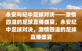 永安与纪中足球对决——激情四溢的足球直播盛宴，永安纪中足球对决，激情四溢的足球直播盛宴