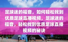 足球迷的福音，如何轻松找到优质足球直播视频，足球迷的福音，轻松找到优质足球直播视频的秘诀