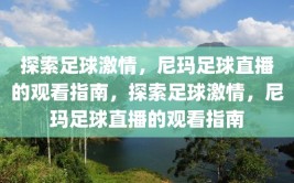 探索足球激情，尼玛足球直播的观看指南，探索足球激情，尼玛足球直播的观看指南