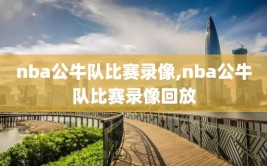 nba公牛队比赛录像,nba公牛队比赛录像回放