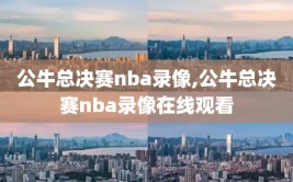 公牛总决赛nba录像,公牛总决赛nba录像在线观看