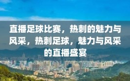 直播足球比赛，热刺的魅力与风采，热刺足球，魅力与风采的直播盛宴