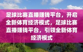 足球比赛直播赚钱平台，开启全新体育经济模式，足球比赛直播赚钱平台，引领全新体育经济模式