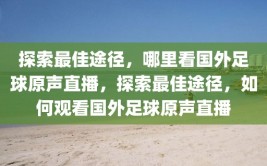 探索最佳途径，哪里看国外足球原声直播，探索最佳途径，如何观看国外足球原声直播