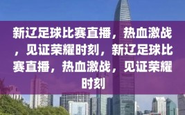 新辽足球比赛直播，热血激战，见证荣耀时刻，新辽足球比赛直播，热血激战，见证荣耀时刻