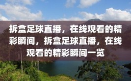 拆盒足球直播，在线观看的精彩瞬间，拆盒足球直播，在线观看的精彩瞬间一览