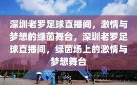 深圳老罗足球直播间，激情与梦想的绿茵舞台，深圳老罗足球直播间，绿茵场上的激情与梦想舞台