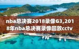 nba总决赛2018录像G3,2018年nba总决赛录像回放cctv