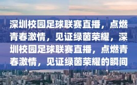 深圳校园足球联赛直播，点燃青春激情，见证绿茵荣耀，深圳校园足球联赛直播，点燃青春激情，见证绿茵荣耀的瞬间