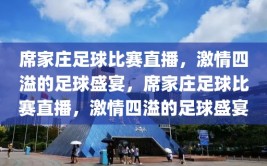 席家庄足球比赛直播，激情四溢的足球盛宴，席家庄足球比赛直播，激情四溢的足球盛宴