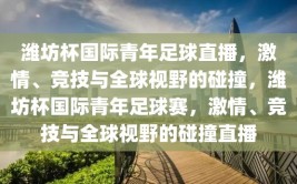 潍坊杯国际青年足球直播，激情、竞技与全球视野的碰撞，潍坊杯国际青年足球赛，激情、竞技与全球视野的碰撞直播