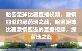 哈密足球比赛直播视频，激情四溢的绿茵场之战，哈密足球比赛激情四溢的直播视频，绿茵场之战