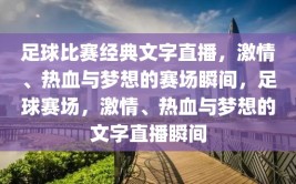 足球比赛经典文字直播，激情、热血与梦想的赛场瞬间，足球赛场，激情、热血与梦想的文字直播瞬间