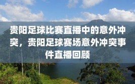 贵阳足球比赛直播中的意外冲突，贵阳足球赛场意外冲突事件直播回顾